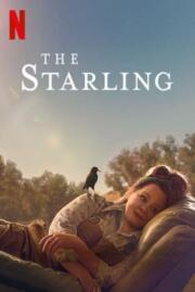 ดูหนังออนไลน์ The Starling เดอะ สตาร์ลิง (2021) NETFLIX บรรยายไทย