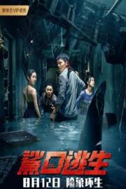 ดูหนังออนไลน์ Escape of Shark โคตรฉลามคลั่ง (2021) บรรยายไทย