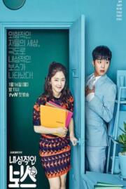 ดูหนังออนไลน์ เขินนักรักซะเลย My Shy Boss  2017 บรรยายไทย