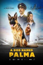 ดูหนังออนไลน์ A Dog Named Palma (Palma) (2021)