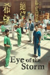 ดูหนังออนไลน์ อาย ออฟ เดอะ สตอร์ม Eye of the Storm (2023)