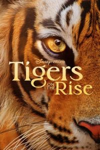 ไทเกอร์ ออน เดอะ ไรส์ Tigers on the Rise (2024)