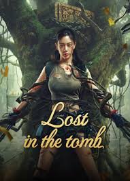 ดูหนังออนไลน์ Lost in the tomb โลงศพหมอกมรณะ (2024)