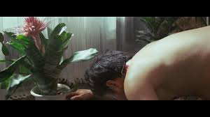 สกิน ออฟ โรส Skin Of Roses (1978)