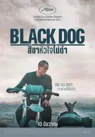 สี่ขาหัวใจไม่ดำ Black Dog (2024)