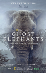 ช้างผี Ghost Elephants 2025